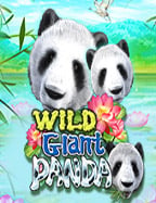 sbobet promotion com 5 เท า สูตรสร้างกำไรจากสล็อตออนไลน์